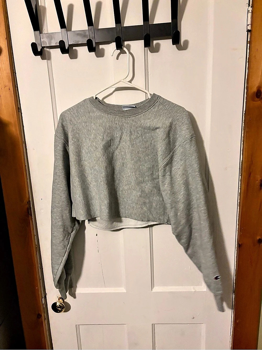 Champion Reverse Weave Cropped Crewneck Sweatshirt Gray Medium